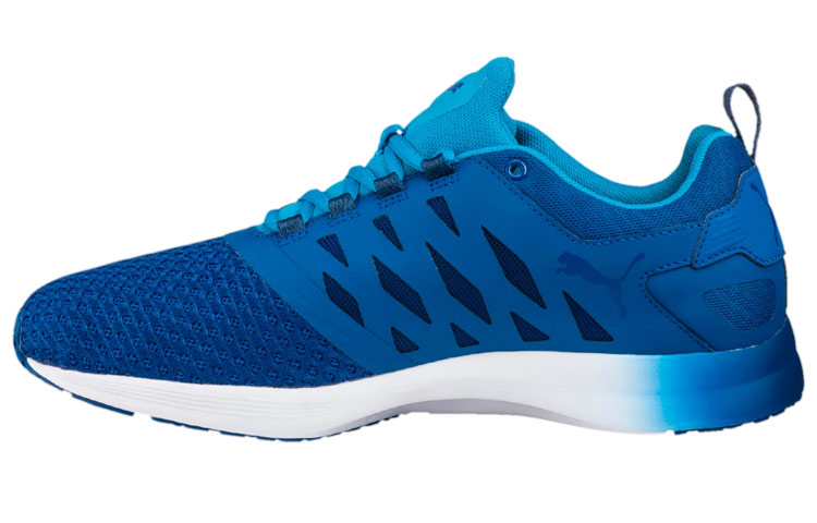 Puma Pulse Xt V2 Mesh 'Blue' 189474-01