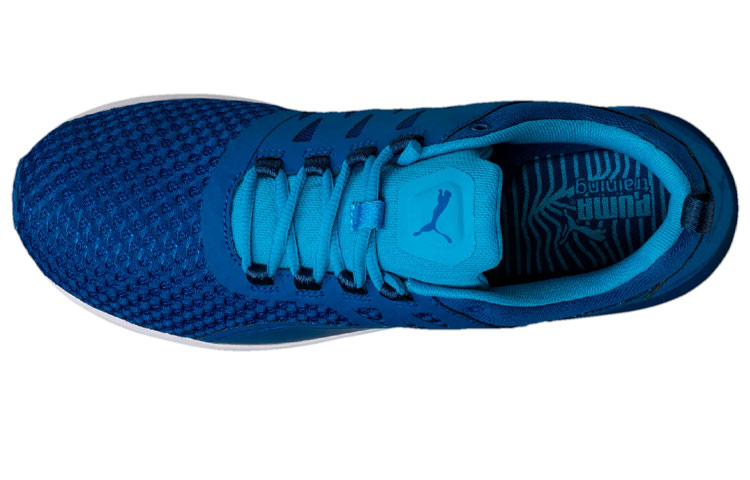 Shop Puma Pulse Xt V2 Mesh ''Blu'' 189474-01