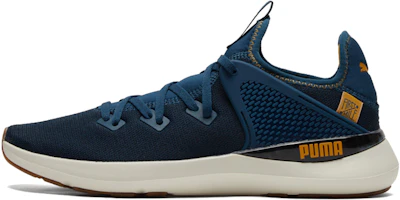 Puma Pure Xt FM Utility 'Blue Gold' 195198-02 Puma Pure Xt FM Utility 'Blue Gold' 195198-02