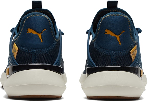 Puma Pure Xt FM Utility 'Biru Emas' 195198-02 Purchase Puma Pure Xt FM Utility 'Biru Emas' 195198-02
