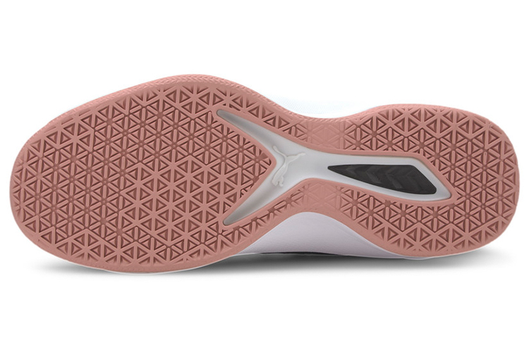 Purchase 彪馬 Rise Ct Netfit 2 黑粉