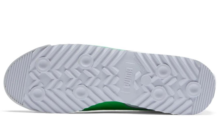 Purchase Puma Roma Basic Plus ''Bianco Verde Irlanda'' 369571-02