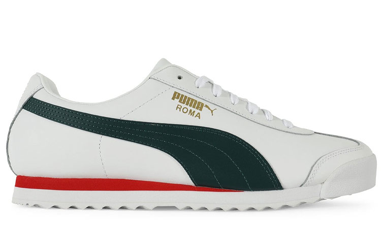 Order Puma Roma Classica VTG ''Bianco Ponderosa Pine'' 369569-03
