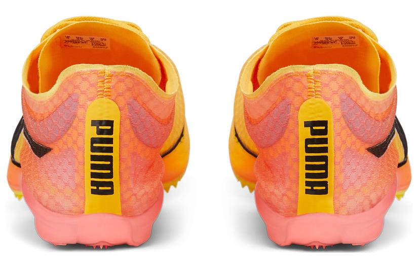 Shop Puma 'Naranja' 377383-01