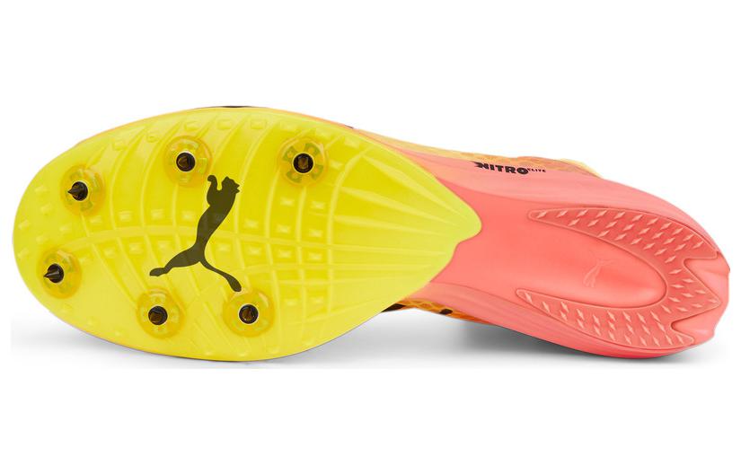 Purchase Puma 'Naranja' 377383-01