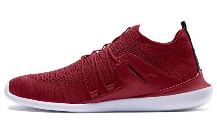 Buy Puma Scuderia Ferrari Evo 'Rojo' 306119-07