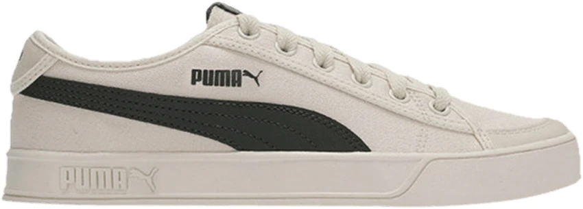Puma smash 2025 v2 42
