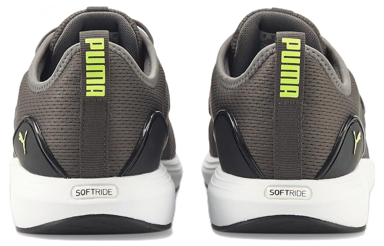 Shop Puma Softride Cruise Bold Scarpe Basse Grigie 376190-04