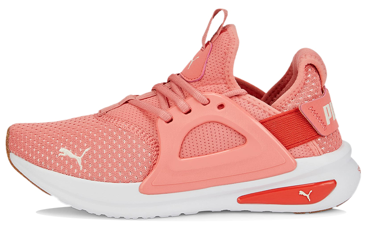 Buy Puma SoftRide Enzo Evo Better 'Merah Jambu Merah Putih' 377313-03