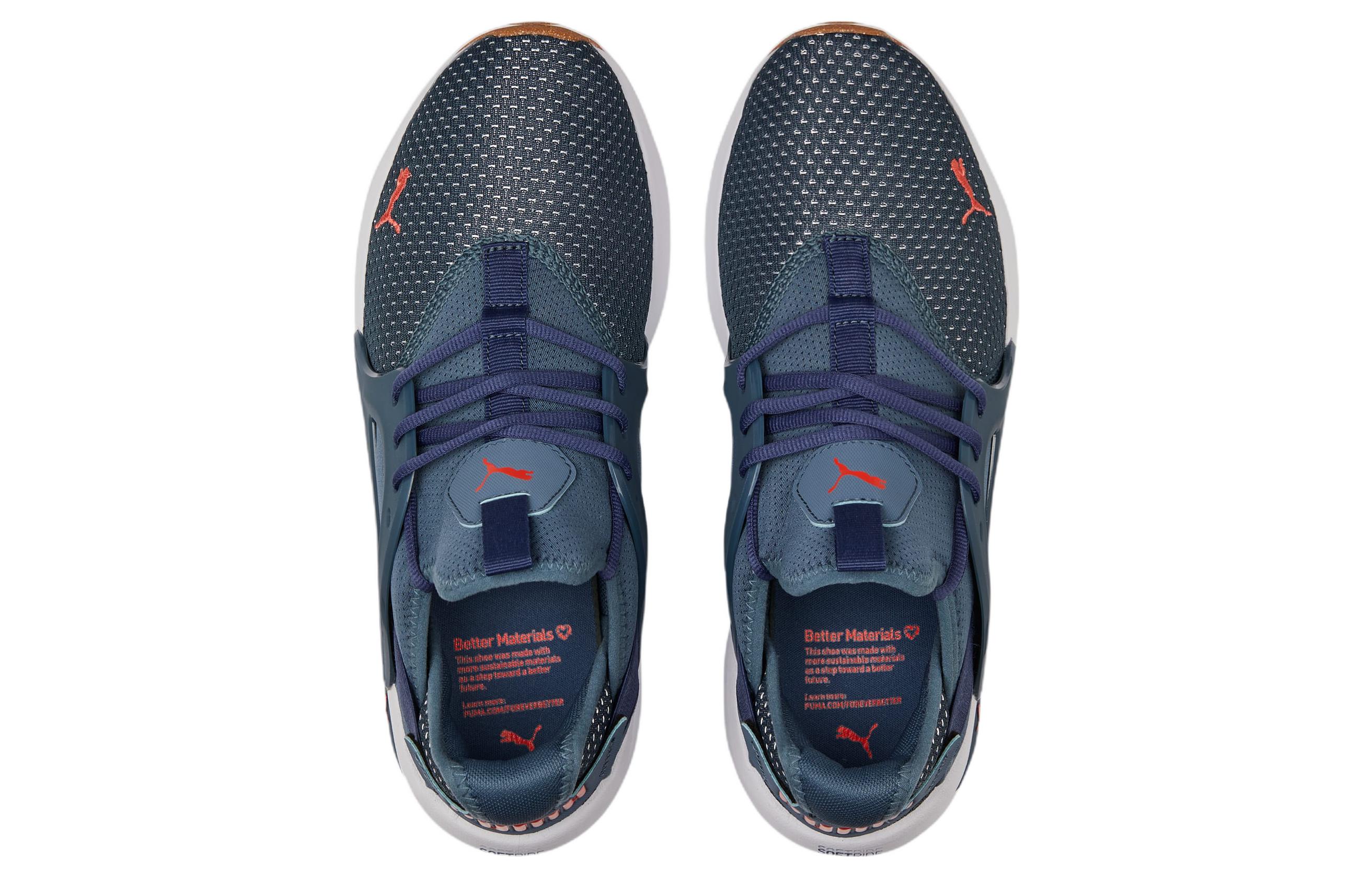 Shop プーマ SoftRide Enzo EVO 青白 (Puma SoftRide Enzo EVO AoShiro) 377313-02