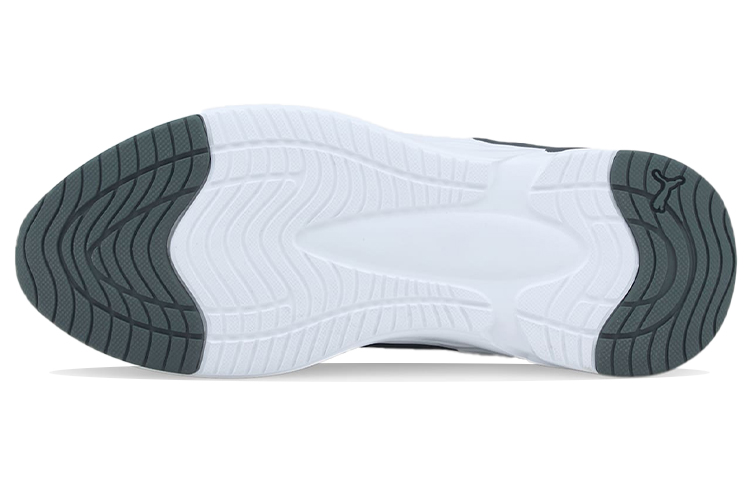Purchase Puma Softride Premier 'Grey White' 376186-02