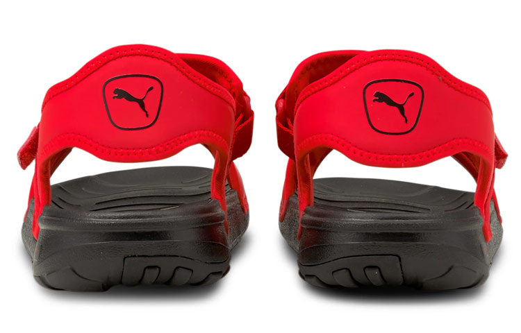 Shop Puma Softride Sandalen Rood 375104-05