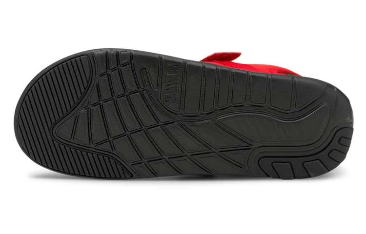 Purchase Puma Softride Sandalen Rood 375104-05