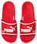 Lookbook 푸마 소프트라이드 슬라이드 '캐나다' (Puma Softride Slide '캐나다') 384457-01