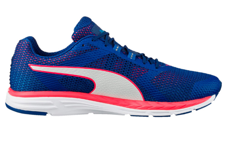 Order Puma Speed 500 Ignite ''Bleu'' 189081-05