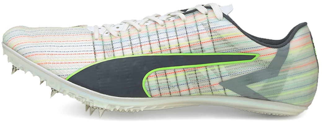 Puma Evo Speed Tokyo Brush Sp 195332-01 Buy Puma Evo Speed Tokyo Brush Sp 195332-01