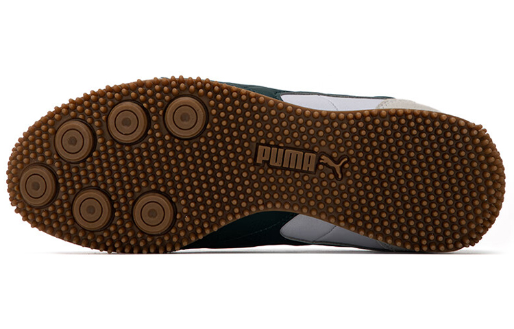 Purchase Puma Speeder SD 'Putih Ponderosa Pine' 390558-03