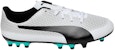 Puma Spirit AG Rumput Tiruan 'Putih Hitam Perak' 104494-04