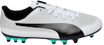 Order Puma Spirit AG Rumput Tiruan 'Putih Hitam Perak' 104494-04