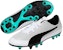 Puma Spirit AG Rumput Tiruan 'Putih Hitam Perak' 104494-04