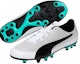 Lookbook Puma Spirit AG Rumput Tiruan 'Putih Hitam Perak' 104494-04