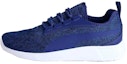 Buy Puma St Trainer Evo V2 'Biru' 363743-02