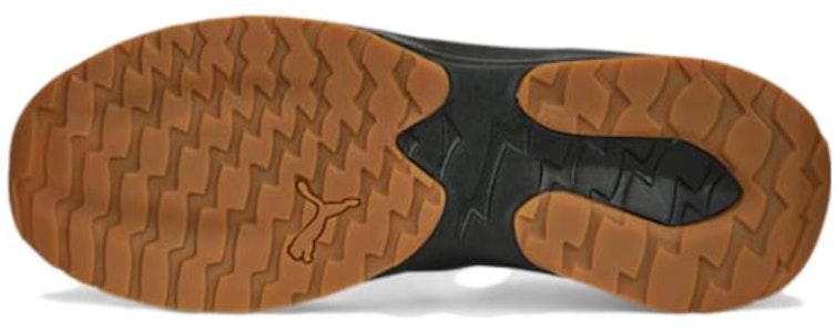 プーマ ストライド (Puma Sutoraido) 389422-04 Purchase プーマ ストライド (Puma Sutoraido) 389422-04