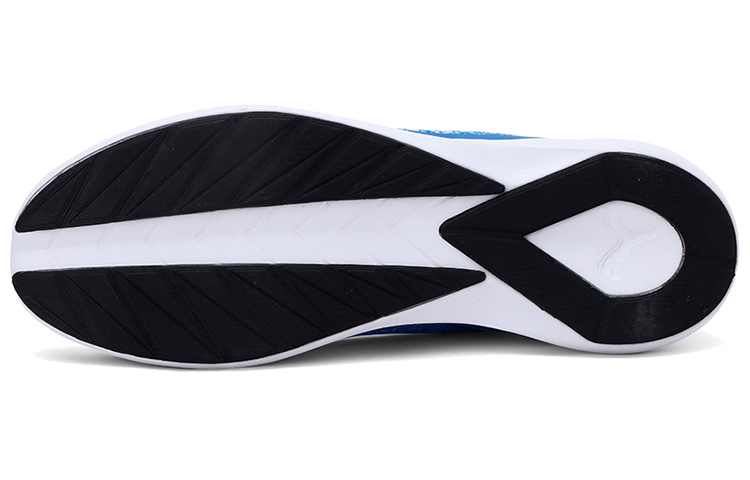 Details for Chaussures Puma Stride Evo IDP Blanc/Bleu 371310-03