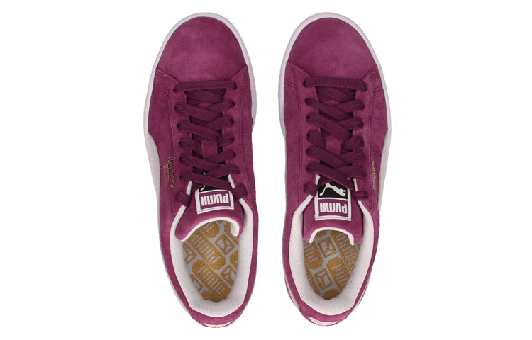 Shop 彪马经典低帮滑板鞋紫色 365347-12