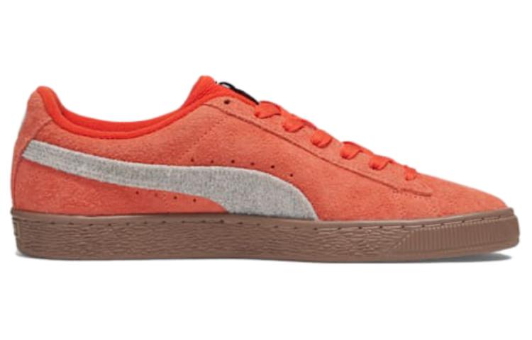 Order プーマ スウェード NT フォールフォリッジ (グレー) 394057-01