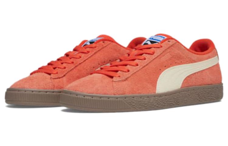 Lookbook プーマ スウェード NT フォールフォリッジ (グレー) 394057-01