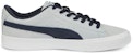 Puma Suede Skate Nitro 'Kelabu Platinum Parisian Night' 386082-01