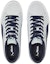 Shop Puma Suede Skate Nitro 'Kelabu Platinum Parisian Night' 386082-01