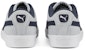 Puma Suede Skate Nitro 'Kelabu Platinum Parisian Night' 386082-01