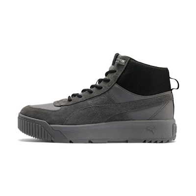 Puma Tarrenz SB Sneakers Grey