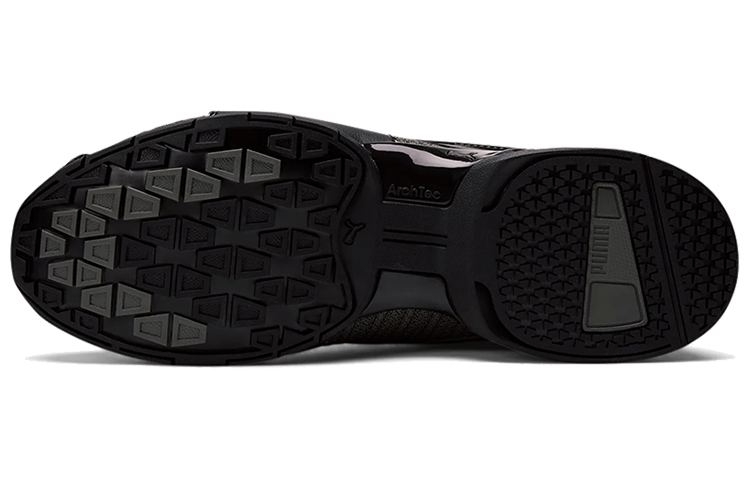 Details for Puma Tazon 6 Bas / Marron ''Noir'' 194037-01