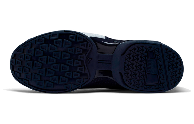 Details for 푸마 타존 6 자그 로우탑 (화이트/블루) 192489-01