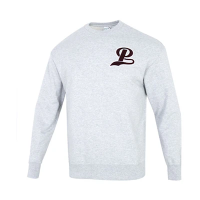 Puma Team Crew Neck Sweatshirt Casual Sportswear Gray 539268-04