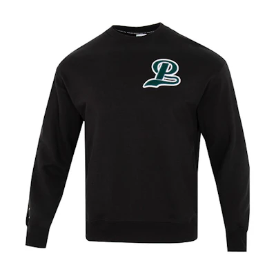 Puma Team Crew TR Simple Casual Pullover Sweatshirt Black 539268-01