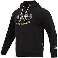 Puma Team Hoodie Logo Pullover Casual Sports Sweatshirt Black 622274-01 Puma Team Hoodie Logo Pullover Casual Sports Sweatshirt Black 622274-01