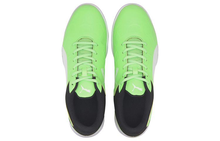Purchase プーマ テナス 白黒緑 (Puma Tenasu ShiroKuroMidori) 104889-07