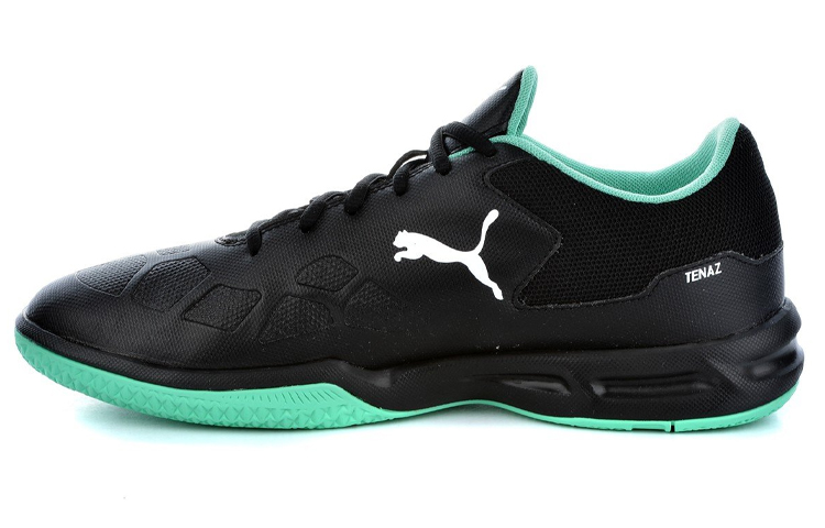 Buy プーマ テナス ローカット グリーン/ブラック 104889-04