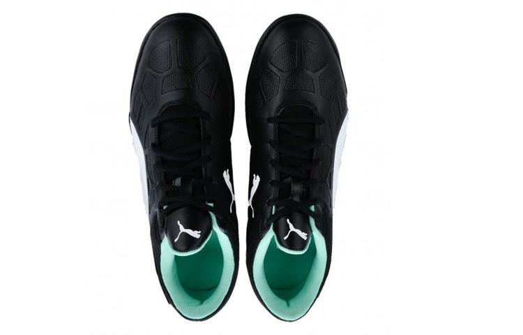 Lookbook Puma Tenaz Niedrig /Grün ''Schwarz'' 104889-04