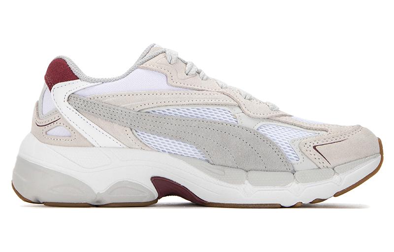 Order Puma Teveris Nitro 'Gris Pluma Violeta Madera' 388774-11