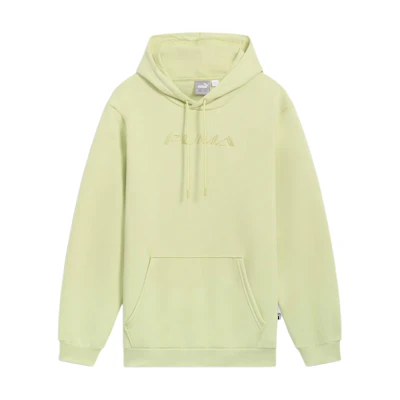Puma TONALgraphic Pistachio Green Casual Pullover Hoodie 684391-37
