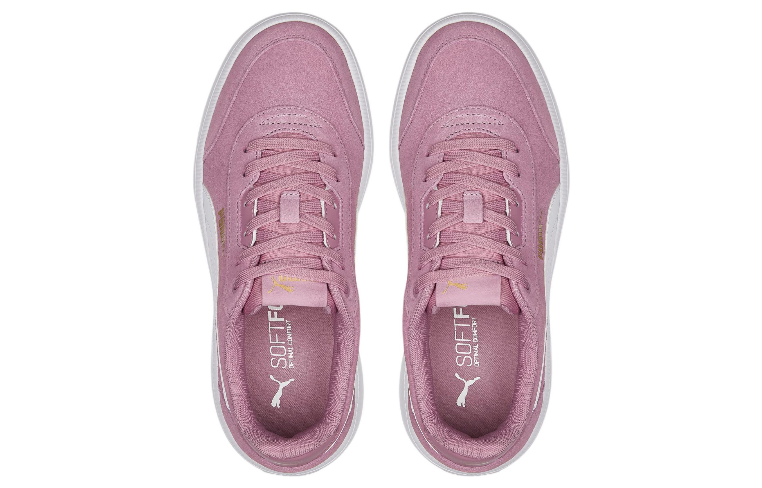 Shop Puma Tori 'SD - Uva Pálida' 384598-05