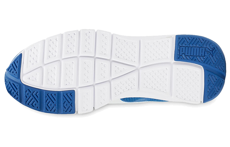 Details for Puma Track V2 Idp Laag Blauw/Wit 372482-02