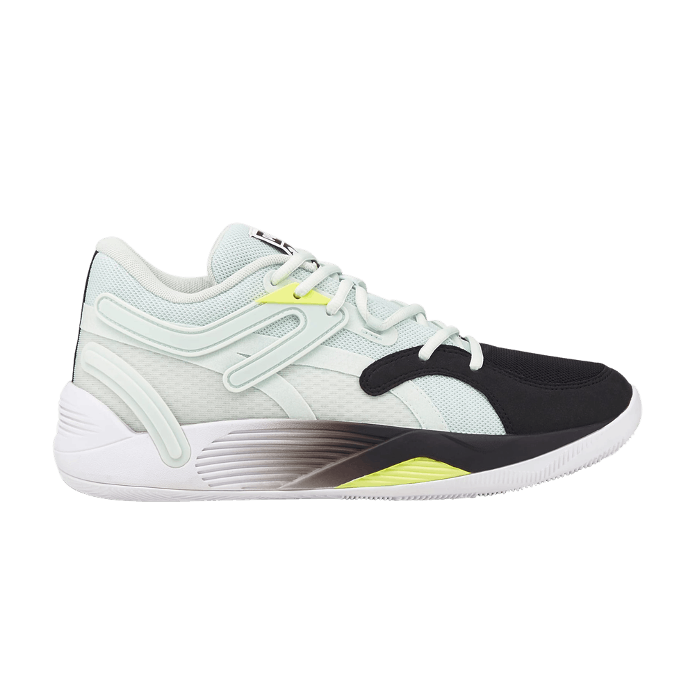 Buy プーマ TRC Blaze Court 「アイスフローブラック」 376582-04