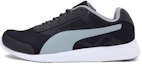 Buy Puma Trenzo II ''Zwart Grijs'' 368286-06