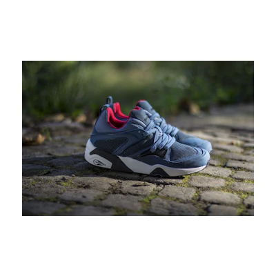 Puma Trinomic Blaze TECH 'Blue'